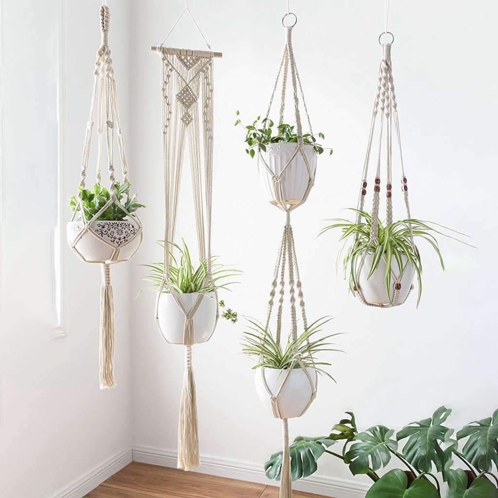 Hanging pot plants | Image: Pinterest