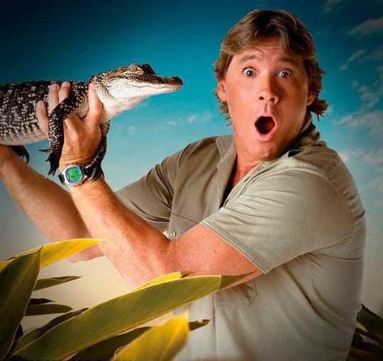 Steve Irwin | Image: Pinterest