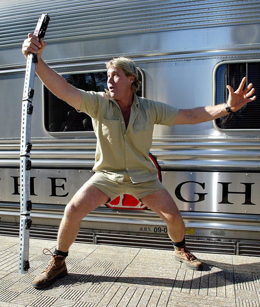 Steve Irwin costume | Image: Pinterest
