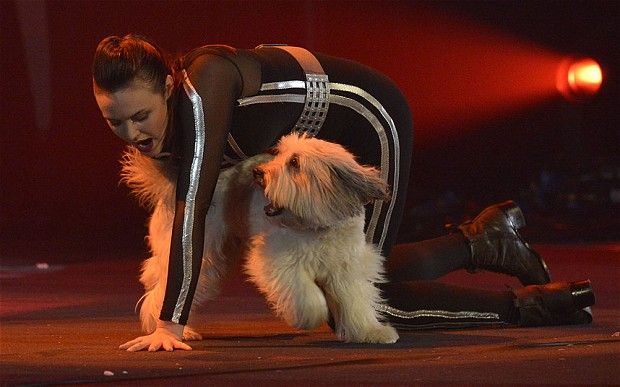 Ashley and Pudsey on "Britain's Got Talent " | Image: Pinterest
