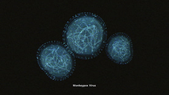 Monkeypox virus | Image: Unsplash
