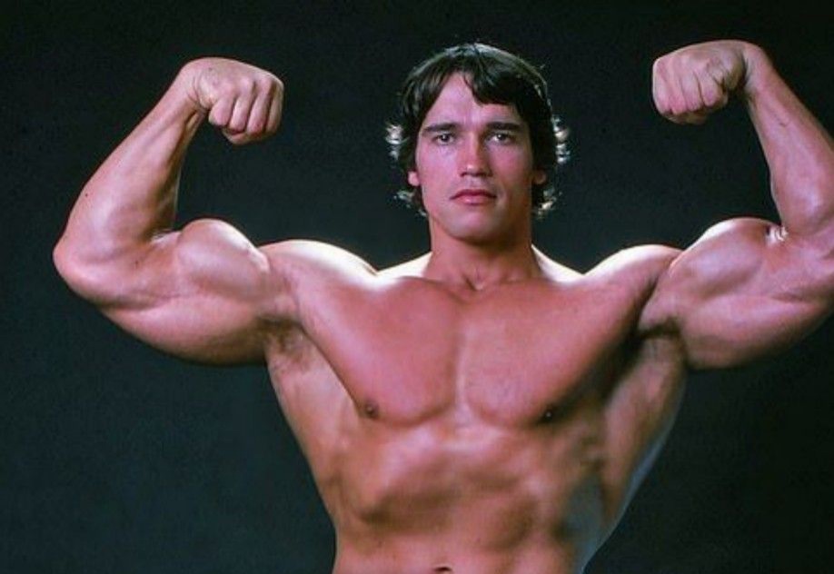 Arnold Schwarzenegger body builder |
Image: Pinterest