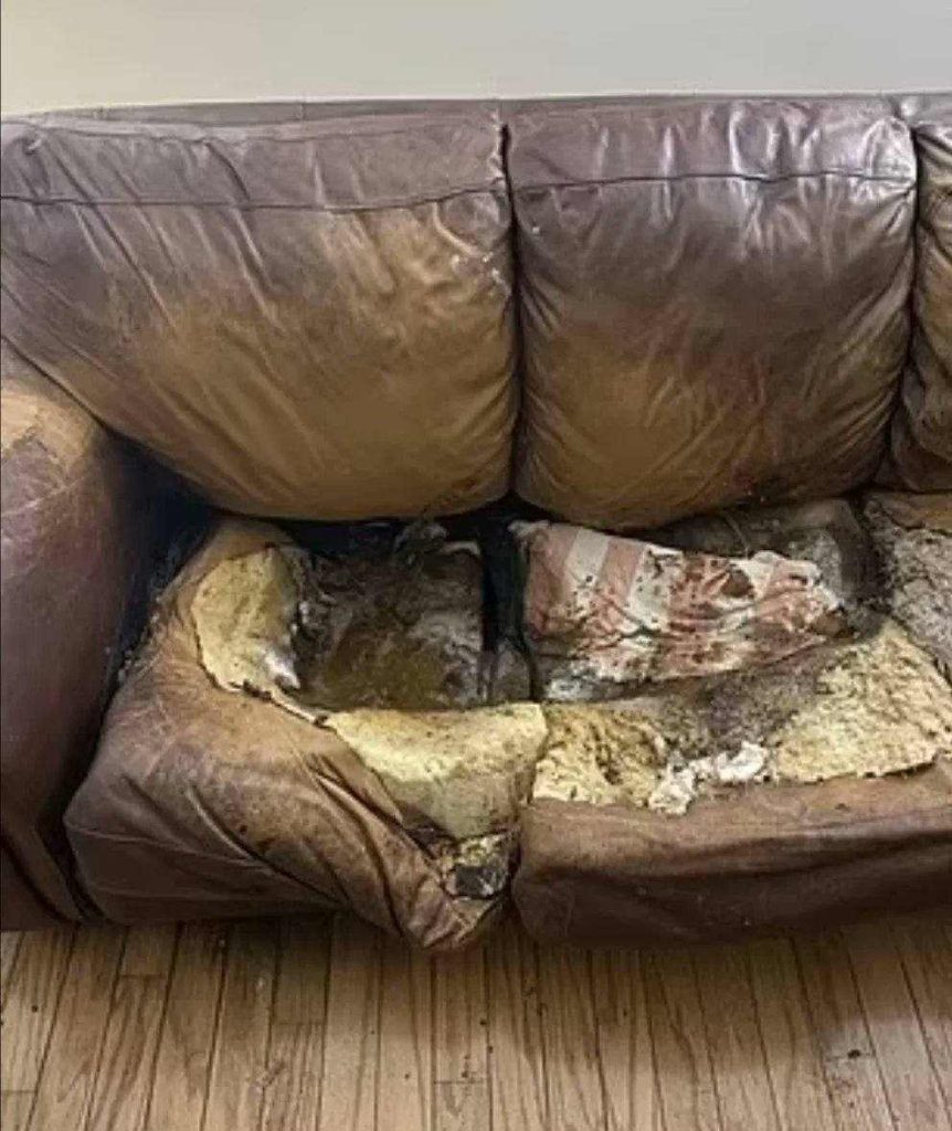 A picture of the couch Lacey Fletcher was found lifeless
