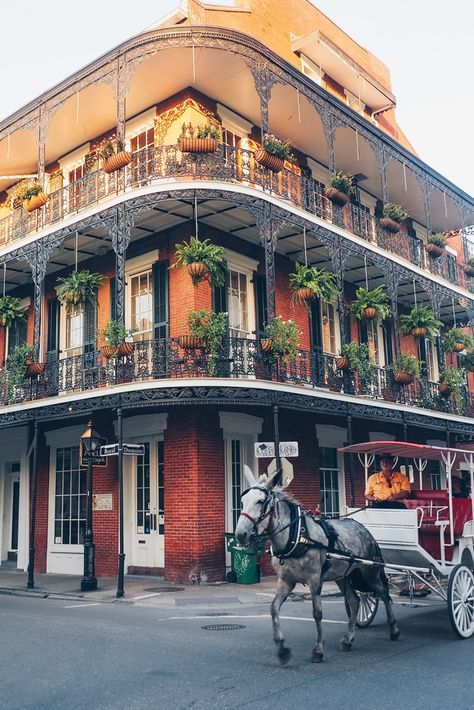 New Orleans