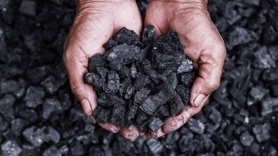 Extracted coal