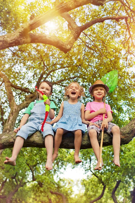 Three kids happy on a tree
