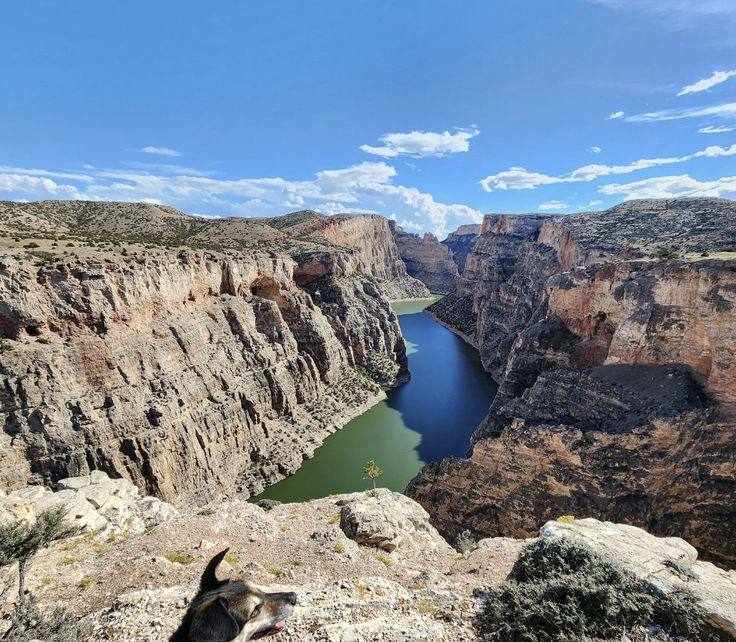 A picture of Bighorn Canyon, Wyoming, one of US's longest canyons