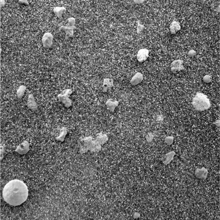 An image of spherules