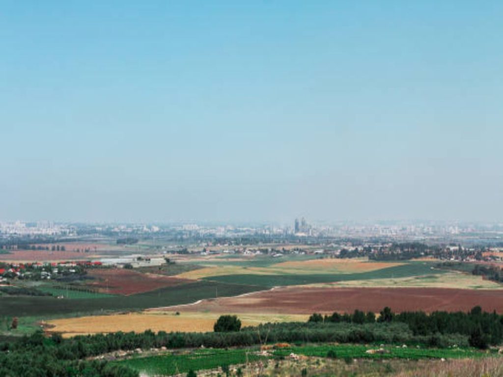 Tel Gezer landscapes