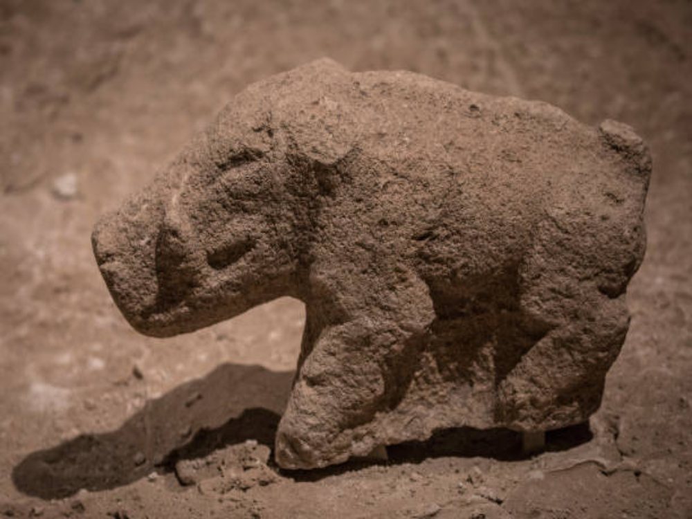 Ancient Gobekli Tepe Carved Boar
