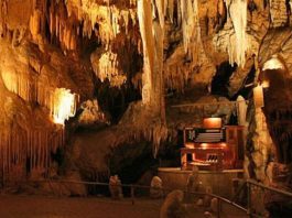 The Stalacpipe in Luray Caverns