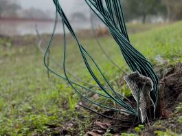 Cables Running Into the Ground