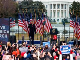 A picture of Donald Trump at the "Stop the Steal" rally