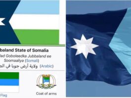 A Photo Collage of the Proposed Minnesota Flag, the Somali Region Flag, and the Final Minnesota Version