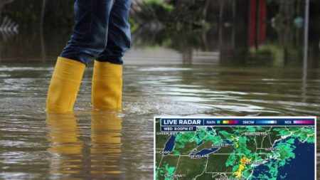 An Individual Wading Through a Flooded Area