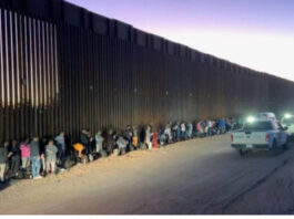 Long line of migrants near the Lukeville border wall