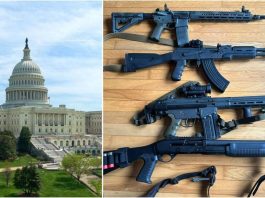 A Collage of Guns and the Capitol