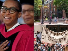Mugshot of Claudine Gay, and Harvard protests in set
