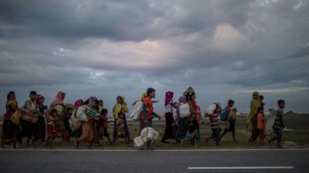 Migrants heading to a camp