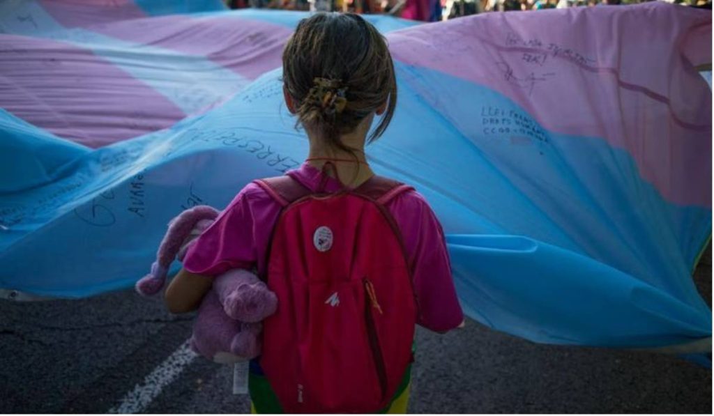 girl in front of trans pride flag