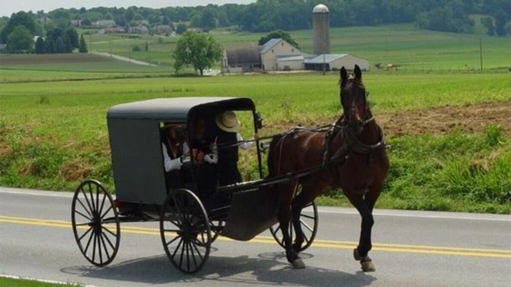 Michigan Police Arrest Woman Who Stole Walmart Shoppers’ Horse and Amish Buggy