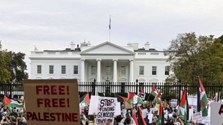 Thousands Hit the Streets of Washington DC to Call for Israel-Hamas Ceasefire