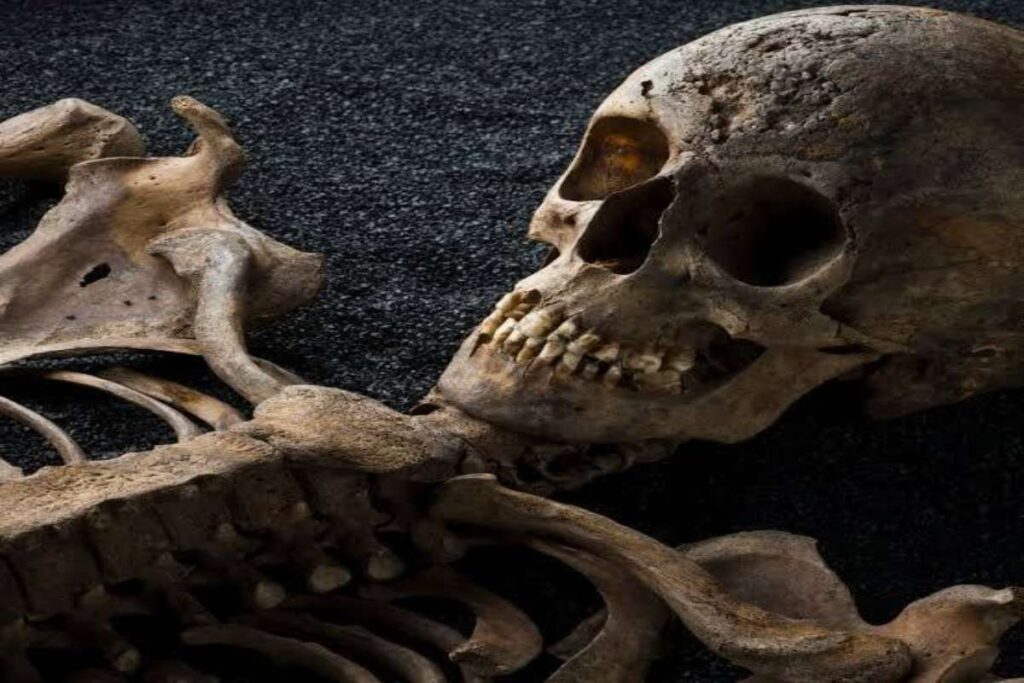 A picture of human remains