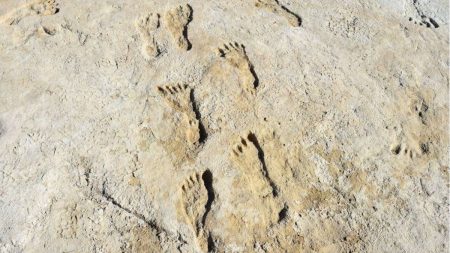 Fossilized footprints in White Sands National Park, New Mexico