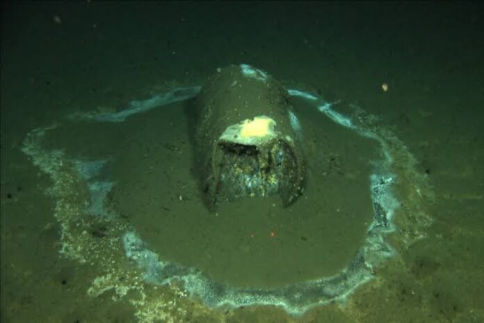 A picture of the sonar view of the LA Coast dumping site