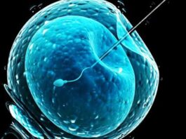 IVF Advocates Condemn Alabama Court Ruling Treating Embryos as Children
