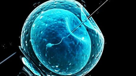 IVF Advocates Condemn Alabama Court Ruling Treating Embryos as Children