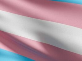 The Transgender Flag