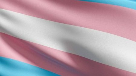 The Transgender Flag