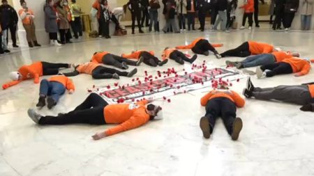 US Capitol Police Arrests Pro-Palestinian Protesters Inside Cannon House Office Building