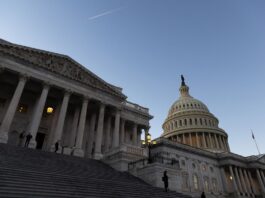 The US Capitol in Washington, DC.