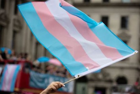 The Transgender Flag