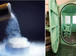 Collage of Pure Nitrogen and Gas Chamber
