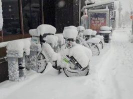 Bicycles covered with inches of snow