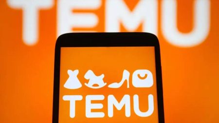 Temu Logo