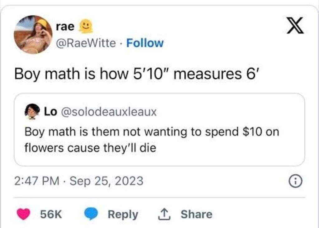 A typical Boy Math on X