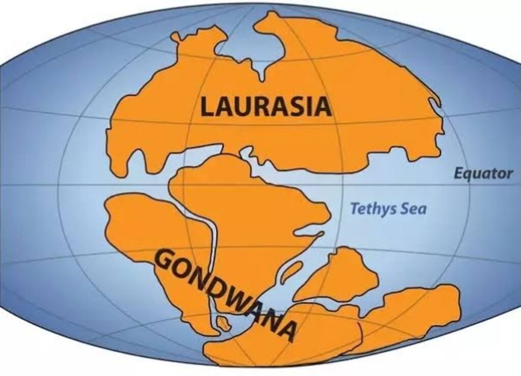 Map Showing Supercontinents Gondwanaland and Laurasia