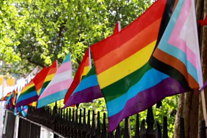 A picture of LGBTQ+ people flag