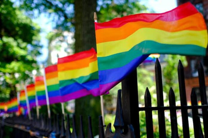 A picture of Pride flag