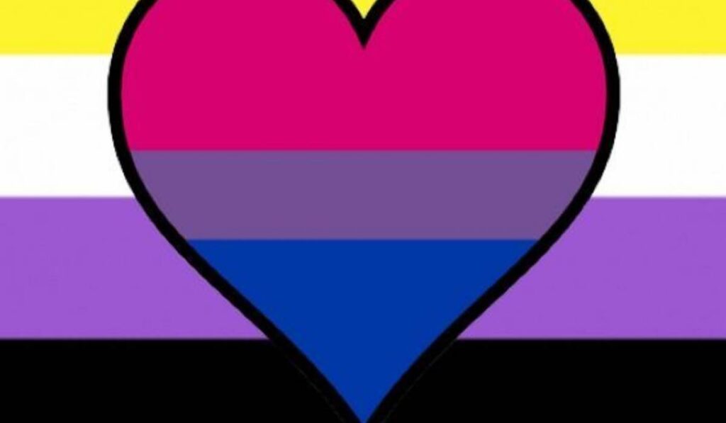 A non -binary pride flag