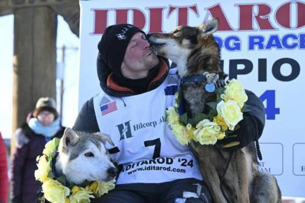 A picture of dogs at the Iditarod, prompting calls from PETA