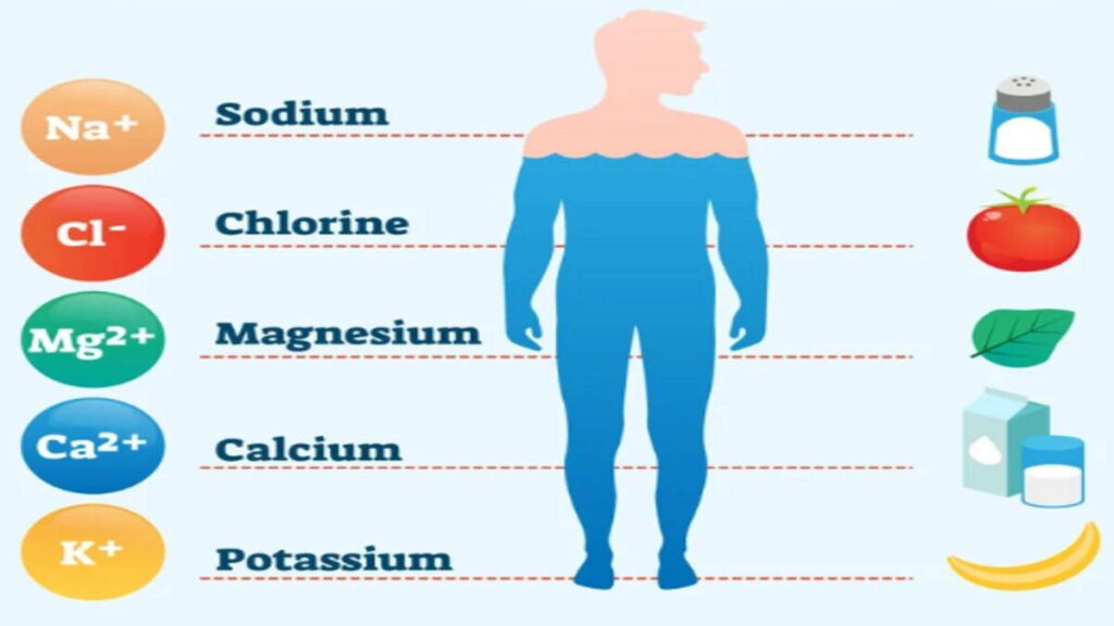 Role of Electrolyte