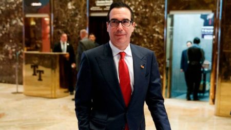 Former Treasury Secretary, Steve Mnuchin