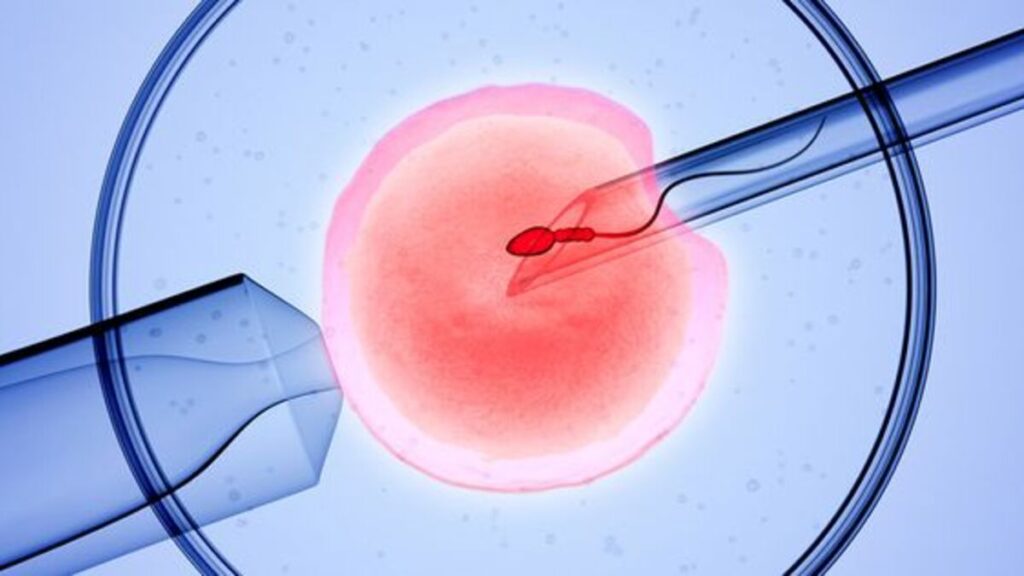 Alabama Governor Signs GOP-Proposed Bill to Protect IVF Treatments Into Law
