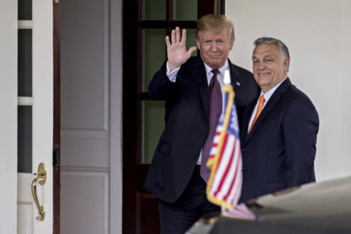 Photo of Donald Trump and the Hungarian Prime Minister. Viktor Orbán