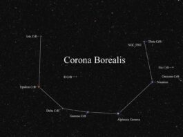 The T Coronae Borealis